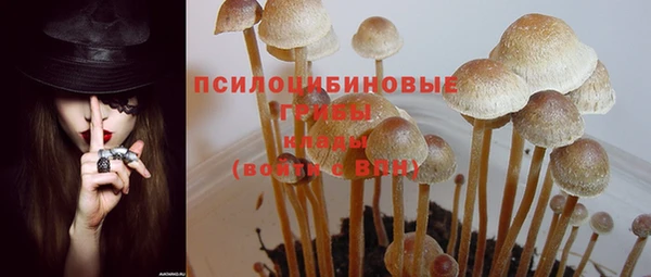 МДПВ Аркадак