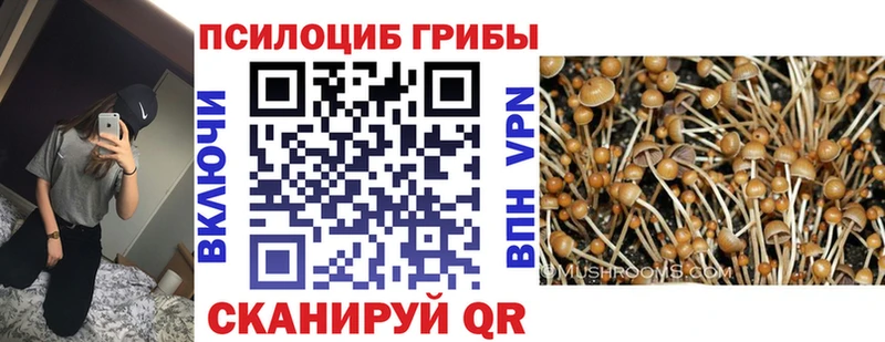 цены наркотик  мориарти официальный сайт  Псилоцибиновые грибы мухоморы  Семикаракорск  MEGA как зайти 
